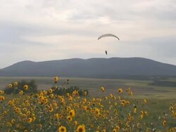 Parasailing Part 14 Stock Footage