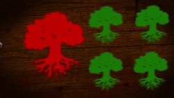 The Oldest Living Things In The World Instructional Video