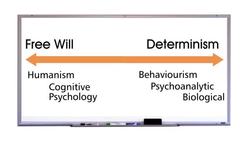 Free-Will and Determinism Instructional Video