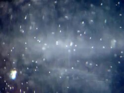 Particles in the Water Stock Footage