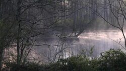 Winter Morning Lake Water Vapors Rising and Sunlight Stock Footage