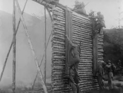 General Eisenhower watches Dutch army complete maneuvers Stock Footage