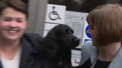 Ruth Davidson arrives at her local polling station News Clip