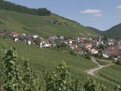 WS View of vineyards and village Ockfen near Saarburg / Ockfen, Saar-Valley, Rhineland- Palatinate, Germany Stock Footage
