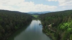 4K Aerial Shot Lake and Forest Stock Footage