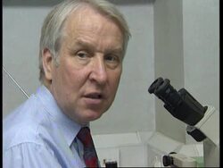 UK: FIRST BATCH OF 3000 FROZEN EMBRYOS HAVE BEEN DESTROYED News Clip