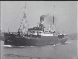 New York May Be the Biggest City News Clip