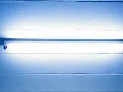 blue fluorescent blinker Stock Footage