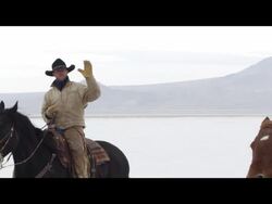 Slow motion of horses running. Stock Footage