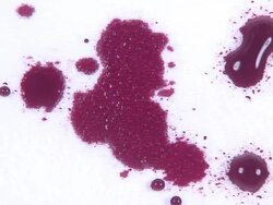 Blood drops on the white cloth Stock Footage