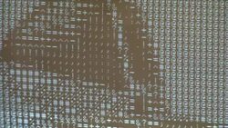 Slice of Apple history up for grabs News Clip