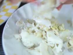 Claw Crab Stock Footage