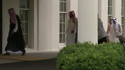 Saudi Deputy Crown Prince Arrives at White House Instructional Video