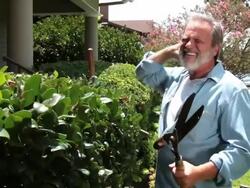 my neck Stock Footage