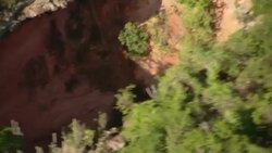 Dense trees surround a sinkhole. Stock Footage