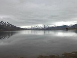 Two wild geese flying over a magnificent lake with mountains covered by snow in the back, Spitsbergen, Svalbard; fantastic arctic scenery Stock Footage