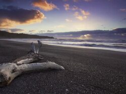Lonely Beach Stock Footage