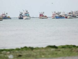 WS LA View of boats on harbor / Paracas, Nazca, Peru Stock Footage