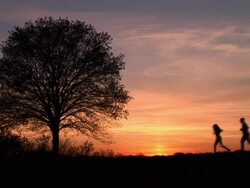 HD: Couple Jogging At Sunrise Stock Footage