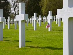 MS View of American war cemetery site and country flag / Sandweiler, Luxembourg Stock Footage