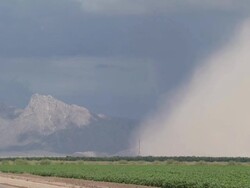 T/L leading edge of Haboob sand storm across cotton fields  Blowing sand and dust across desert,  Arizona, USA Stock Footage