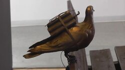 Controversial Algerian artist on show near Brussels Instructional Video