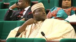 CLEAN : Nigeria should consider asylum for The Gambia's Jammeh: MPs News Clip