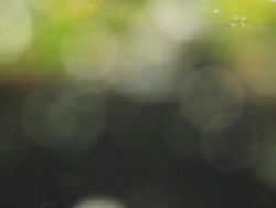 HD Dolly:Christian crosses in cemeteries Stock Footage