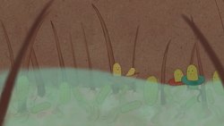 TED-ED: What causes body odor? - Mel Rosenberg Instructional Video