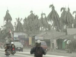 Traffic drives on highway lined with damaged trees from ash fallout from Merapi volcano eruption; Indonesia. 7 November 2010 / AUDIO Stock Footage