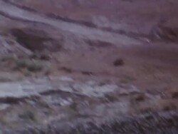 Burned Out Tanks Stock Footage