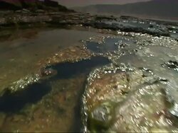 MC CU PAN View of over algae in steaming geothermal lake / Lake Bogoria, Kenya Stock Footage