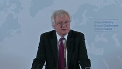 UK's negotiator tries to dispel post-Brexit chaos fears News Clip