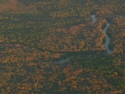 WS AERIAL View of landscape / North Carolina, United States Stock Footage