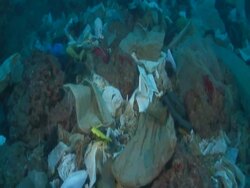 MS POV Plastic bags in sea / Mediteranean Sea Stock Footage