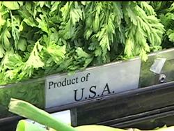 With radiation turning up in vegetables, milk and tap water in Japan, the U.S. Food and Drug Administration has announced that it will block imports of affected products. News Clip