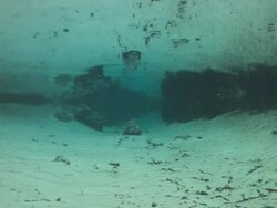 Three Sisters Spring Crystal River, Florida, North Atlantic Ocean  Stock Footage