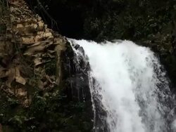 Cloudforest Waterfall Stock Footage