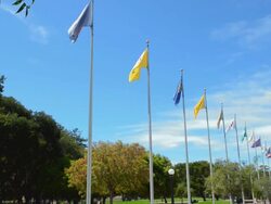 MS Shot of Stanford University all flags of Pac 12 schools / Stanford University, California, United States Stock Footage