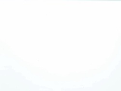 Tadpoles Stock Footage