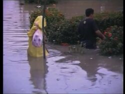 Flooding from Tropical Storm Gamma kills 3 News Clip