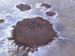 Aerial Dead Sea salt formations, Israel, southern Judea Desert Stock Footage