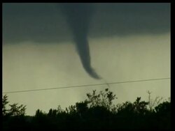 MS small tornado swirling against grey sky, silhouetted bushes in foreground, USA Stock Footage
