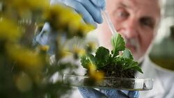 Biologist at greenhouse Stock Footage