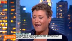 Climate Summit: A Lot of Noise, But Is There Substance? News Clip