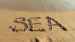 SEA written in sand Stock Footage