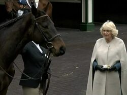 Duchess of Cornwall Feeding Racehorse News Clip
