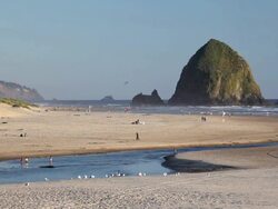 Cannon Beach Oregon Stock Footage