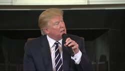 Trump Considers Concealed Carry for Teachers News Clip