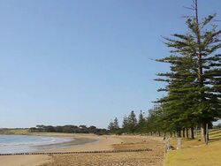 WS PAN Men jogging along beach / Torquay, Victoria, Australia Stock Footage